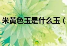 米黄色玉是什么玉（米黄玉是什么品种的玉）