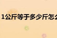 1公斤等于多少斤怎么算（1公斤等于多少斤）