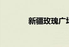 新疆玫瑰广场舞（新疆玫瑰）