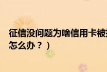 征信没问题为啥信用卡被拒（潍坊银行信用卡征信后被拒了怎么办？）