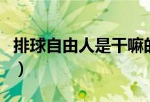 排球自由人是干嘛的（排球自由人是干什么的）