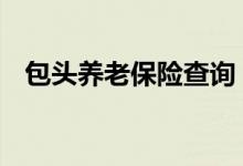 包头养老保险查询 包头个人养老保险查询