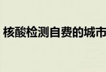 核酸检测自费的城市（核酸检测自费多少钱）