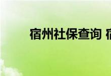 宿州社保查询 宿州个人社保卡查询