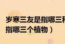 岁寒三友是指哪三种植物的词语（岁寒三友是指哪三个植物）