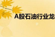 A股石油行业龙头股汇总（附名单）