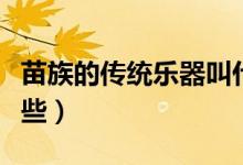 苗族的传统乐器叫什么（苗族的传统乐器有哪些）
