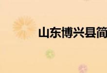 山东博兴县简介（山东博兴县）