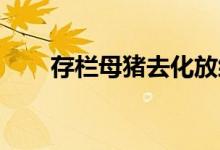 存栏母猪去化放缓周期磨底或需时日
