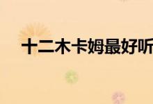 十二木卡姆最好听的曲子（十二木卡姆）