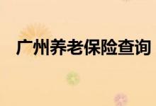 广州养老保险查询 广州个人养老保险查询