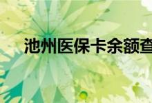 池州医保卡余额查询 池州医疗保险查询