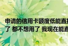 申请的信用卡额度低能直接提额吗 刚到手的信用卡额度太低了 都不想用了 我现在能直接申请提额吗