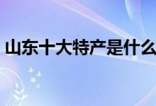 山东十大特产是什么（山东十大特产是什么）
