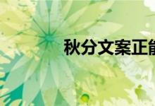 秋分文案正能量（秋分文案）