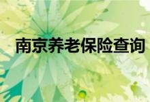 南京养老保险查询 南京个人养老保险查询