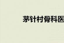 茅针村骨科医生姓什么（茅针）