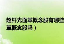 超纤光面革概念股有哪些（同大股份300321属于超纤光面革概念股吗）