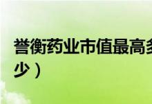 誉衡药业市值最高多少（誉衡药业股票号是多少）