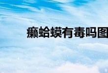 癞蛤蟆有毒吗图片（癞蛤蟆有毒吗）