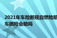 2021年车险新规自燃险赔偿标准 车险新规2021车子自燃了车损险会赔吗