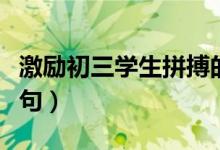 激励初三学生拼搏的话（初三励志语录唯美语句）