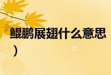 鲲鹏展翅什么意思（鲲鹏展翅什么意思和造句）
