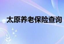 太原养老保险查询 太原个人养老保险查询