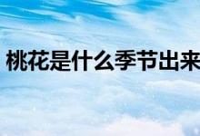 桃花是什么季节出来的（桃花是什么季节开）