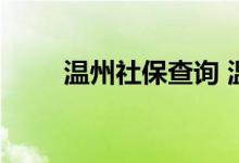 温州社保查询 温州个人社保卡查询