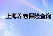 上海养老保险查询 上海个人养老保险查询