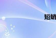短蛸（短蛸）