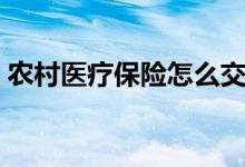 农村医疗保险怎么交 农村医疗保险缴费方式 