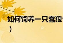 如何饲养一只蠢狼txt下载（如何饲养蚕宝宝）