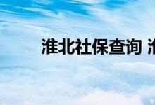 淮北社保查询 淮北个人社保卡查询