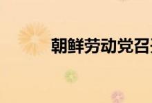朝鲜劳动党召开第八届五中全会