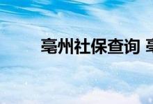 亳州社保查询 亳州个人社保卡查询