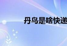 丹鸟是啥快递（丹鸟是什么鸟）