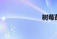 树莓苗（树梅）