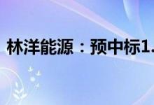 林洋能源：预中标1.4亿元南方电网招标项目