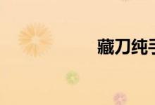 藏刀纯手工（藏刀）