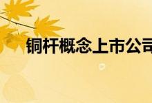 铜杆概念上市公司有哪些铜杆股票名单