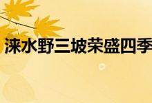涞水野三坡荣盛四季童话小镇（涞水野三坡）