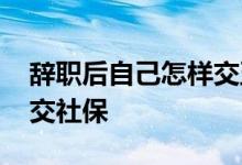 辞职后自己怎样交五险一金 辞职后自己怎样交社保