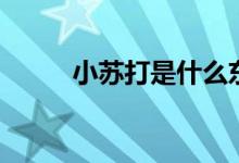 小苏打是什么东西（是食用碱吗）