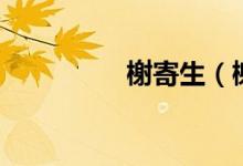 榭寄生（榭寄生是什么）