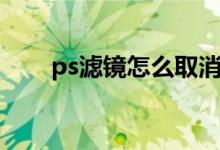 ps滤镜怎么取消（ps滤镜怎么安装）
