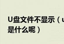 U盘文件不显示（u盘文件不显示的原因到底是什么呢）