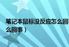 笔记本鼠标没反应怎么回事儿（笔记本电脑鼠标没反应是怎么回事）