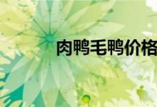 肉鸭毛鸭价格最新报价（肉鸭）